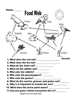 Food Web Worksheet, Cut and Paste and Color | TPT