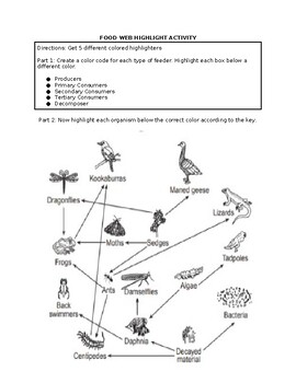 Food Web Highlight Activity by Here to Help Science Teachers | TPT
