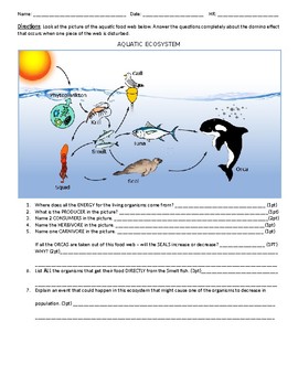 Food Web Practice 2 by VIZSLAMOM | TPT