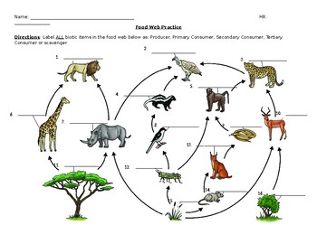 Preview of Food Web Practice