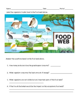 Food Web Practice by julie tracy | TPT