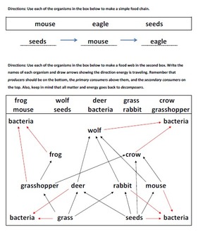 Preview of Food Web Practice Page