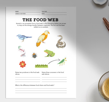 Food Web Practice - Printable Handout by Hemlock Science Shop | TpT