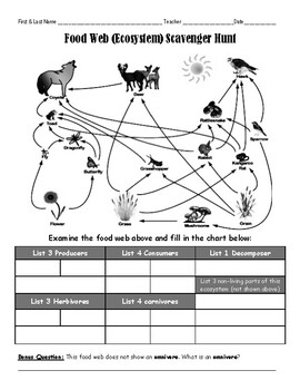 Preview of Food Web Scavenger Hunt Activity