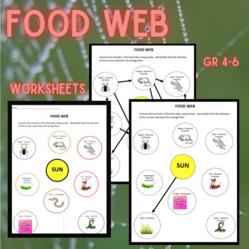 Preview of Food Web Science Worksheets