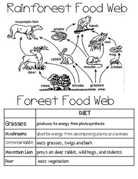 Food Web Activities - fourth and fifth grade science by SmithScience