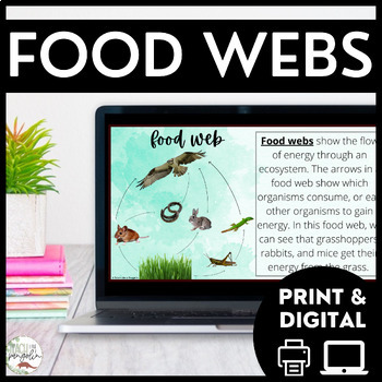 Preview of Food Web Vocabulary Activity & Worksheets - Ecosystems & Biome Reading Passages