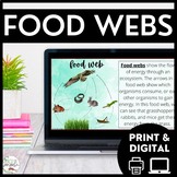 Food Web Vocabulary Activity & Worksheets - Ecosystems & B