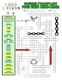 Food Web Vocabulary Puzzles & Diagram (Animals / Ecosystem