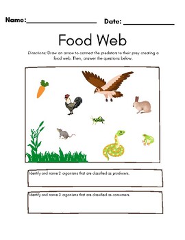 Food Web Worksheet by Reading Alchemy | TPT