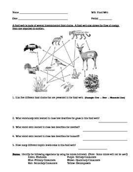 food web worksheet 5th grade pdf