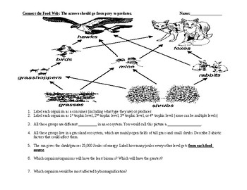 Food Web Worksheet 2 by Mr Johnsons Science Materials | TpT