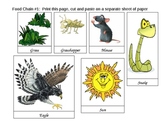 Food Web and Food Chain Card Activity
