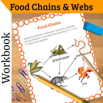 Preview of Food Web and Food Chain Workbook for Middle school - Digital and Print-and-Go