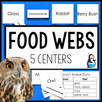 Preview of Food Webs Science Centers | 4th Grade Reading Passage Vocabulary Diagram Cards