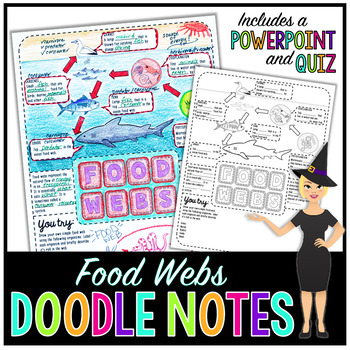 Preview of Food Webs Doodle Notes | Science Doodle Notes