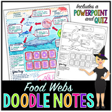Food Webs Doodle Notes | Science Doodle Notes