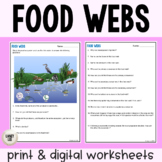Food Webs & Ecosystem Roles Practice