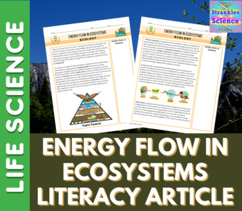 Preview of Food Webs & Energy Flow in Ecosystems Reading Comprehension