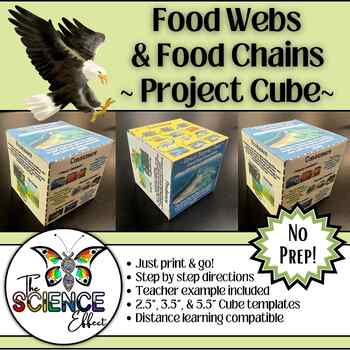 Preview of Food Webs & Food Chains ~ 3D Research Project Cube