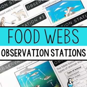 Preview of Food Webs Observation Stations + Digital Resource Option | Ecosystems Activity
