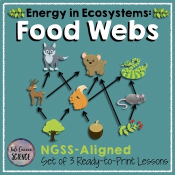 Preview of Food Webs (3 Lessons): Energy Flow in Ecosystems