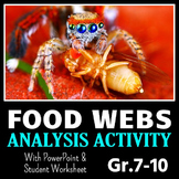 Food Webs PowerPoint Activity with Worksheet {Editable}