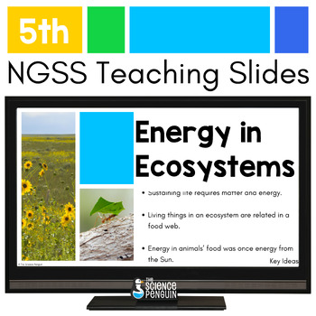Preview of Food Webs & Energy in Ecosystems Teaching Slides | 5th Grade NGSS Google Slides