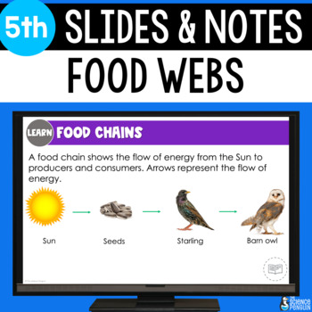 Preview of Food Webs Slides & Notes Worksheet | 5th Grade | Ecosystems Producers Consumers
