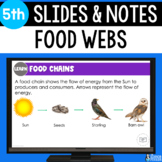 Food Webs Slides & Notes Worksheet | 5th Grade | Ecosystem