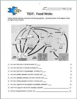 Food Webs - Test {Editable} by Tangstar Science | TpT