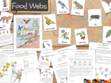 Food Webs Unit: an ecology unit study - with flashcards, a