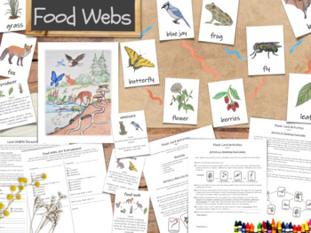 Preview of Food Webs Unit: an ecology unit study - with flashcards, activities, and more!