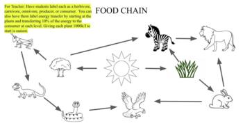 Preview of Food Webs and Chains Entire Lesson Plan with Activities.