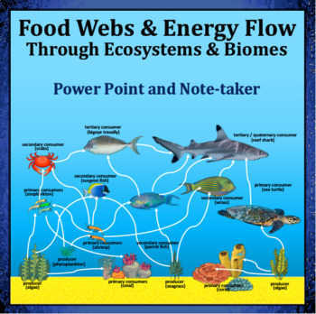 Preview of Food Webs and Energy Flow Through Ecosystems & Biomes Power Point and Note-taker