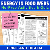 Food Webs and Energy Flow in Ecosystems Science Unit | Pas