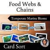 Marine Food Webs and Food Chains Card Sort Activity - Temp