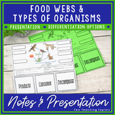 Food Chains and Food Webs Worksheets - Producers and Consu