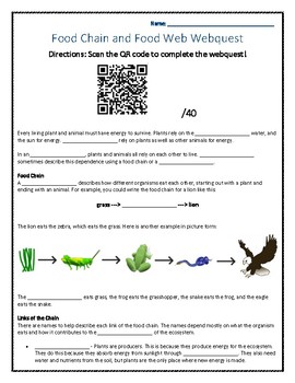 Food Webs and Food Chains WebQuest by Stokes' Scientists | TpT