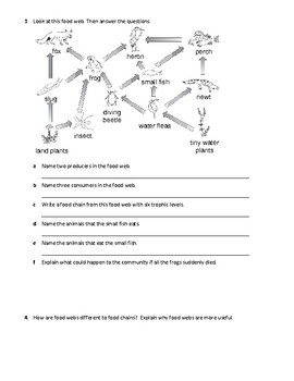 Food Webs and Food Chains Worksheet by Family 2 Family Learning Resources