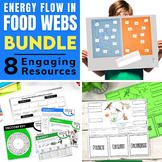 Food Chains and Food Webs Activities | Flow of Energy in Ecosystems BUNDLE