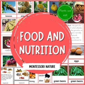 Preview of Food and Nutrition Activities Montessori