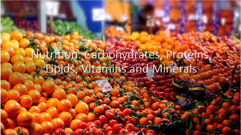 Preview of Food and Nutrition: Carbohydrates, Proteins, Lipids, Vitamins & Minerals Bundle