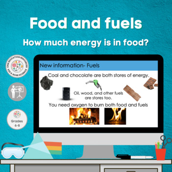 Preview of Food and fuels- How much energy is in food? (KS3)
