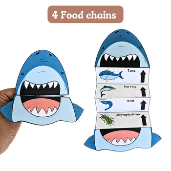 Preview of Food chain- Marine, Grassland , Arctic and Desert food chain