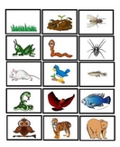 Food chain pictures
