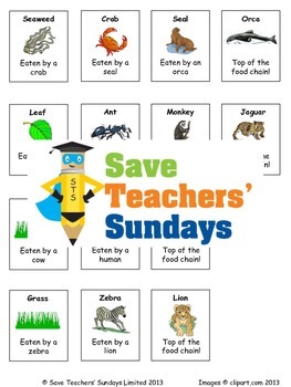 Food Chains Lesson Plan, Cards for Activity and Worksheet | TpT