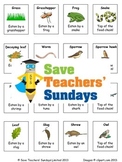 Food Chains Lesson Plan, Cards for Activity and Worksheet