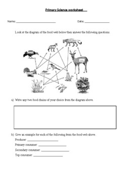 Preview of Food chains and food webs