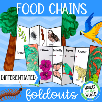 Preview of Food chains foldable activities for woodland, ocean and rainforest habitats